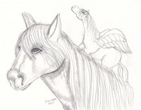 Pegasus